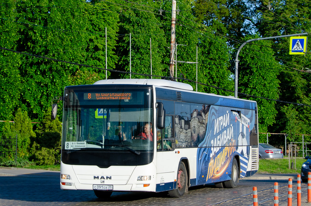 Калининградская область, MAN A78 Lion's City LE Ü EL263 № С 391 ОХ 39