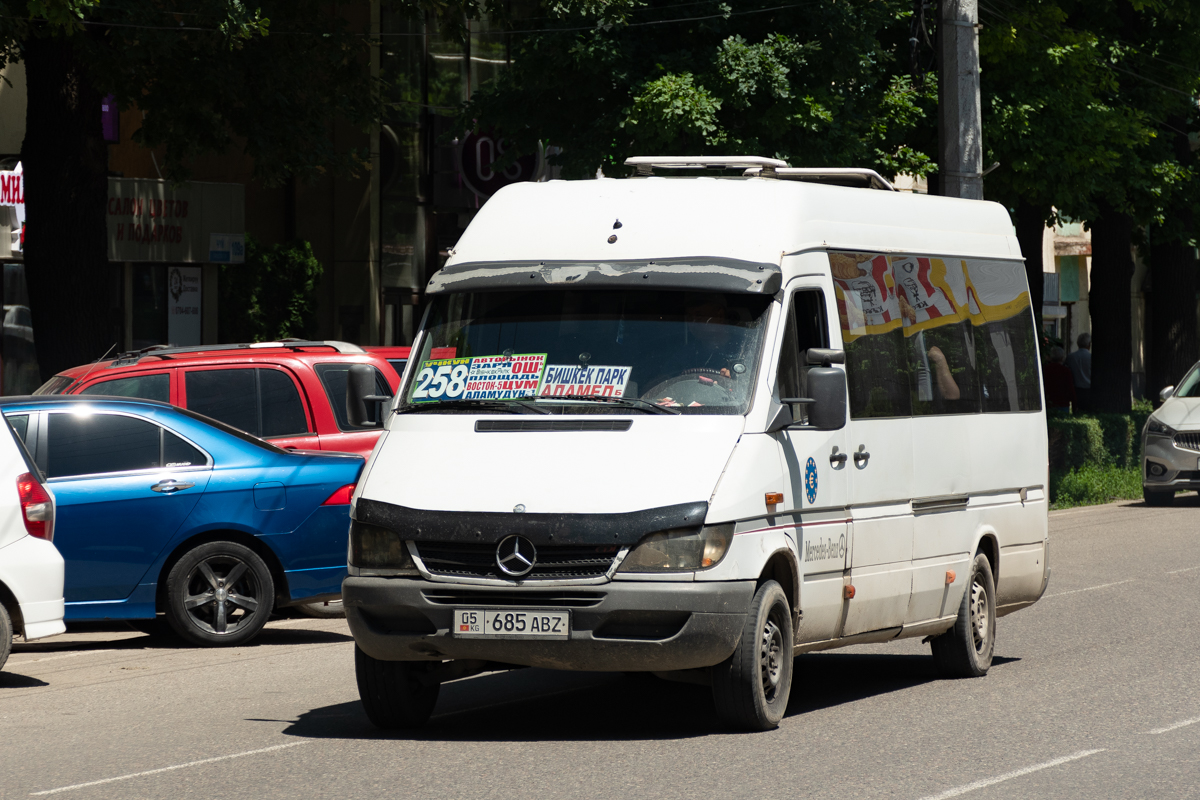 Кыргызстан, Mercedes-Benz Sprinter W903 313CDI № 05 685 ABZ