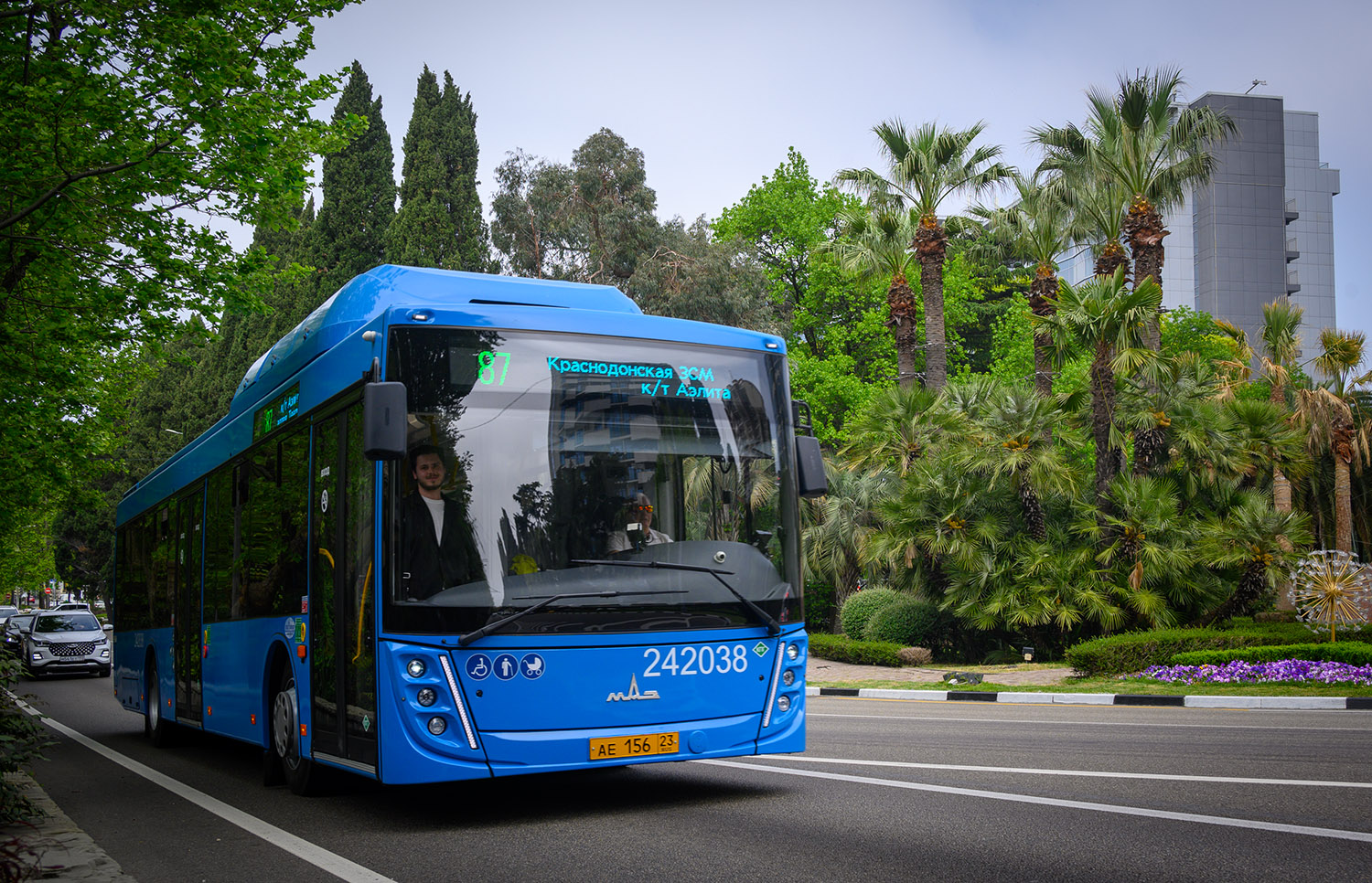 Краснодарский край, МАЗ-203.С65 № 242038