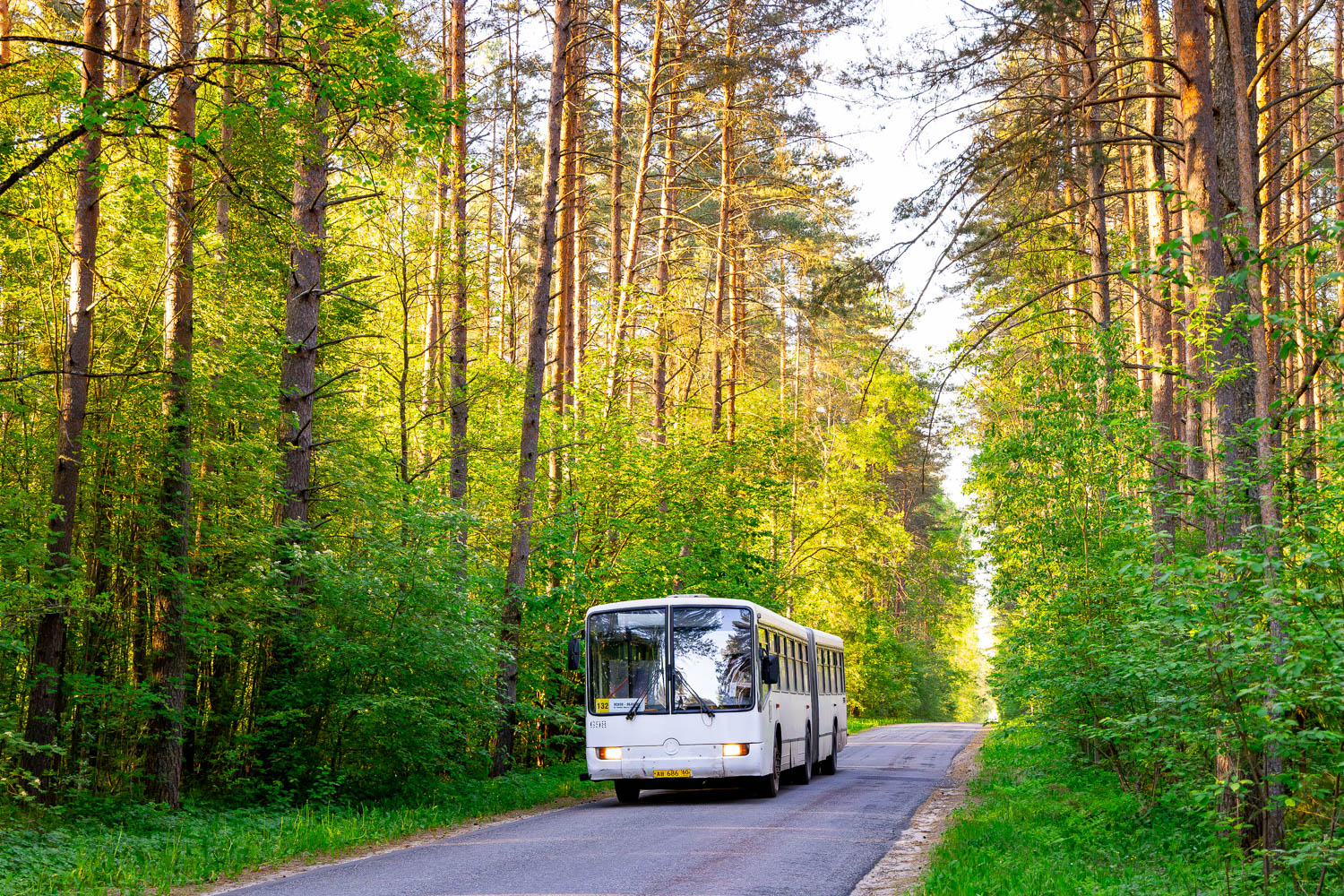 Псковская область, Mercedes-Benz O345G № 698