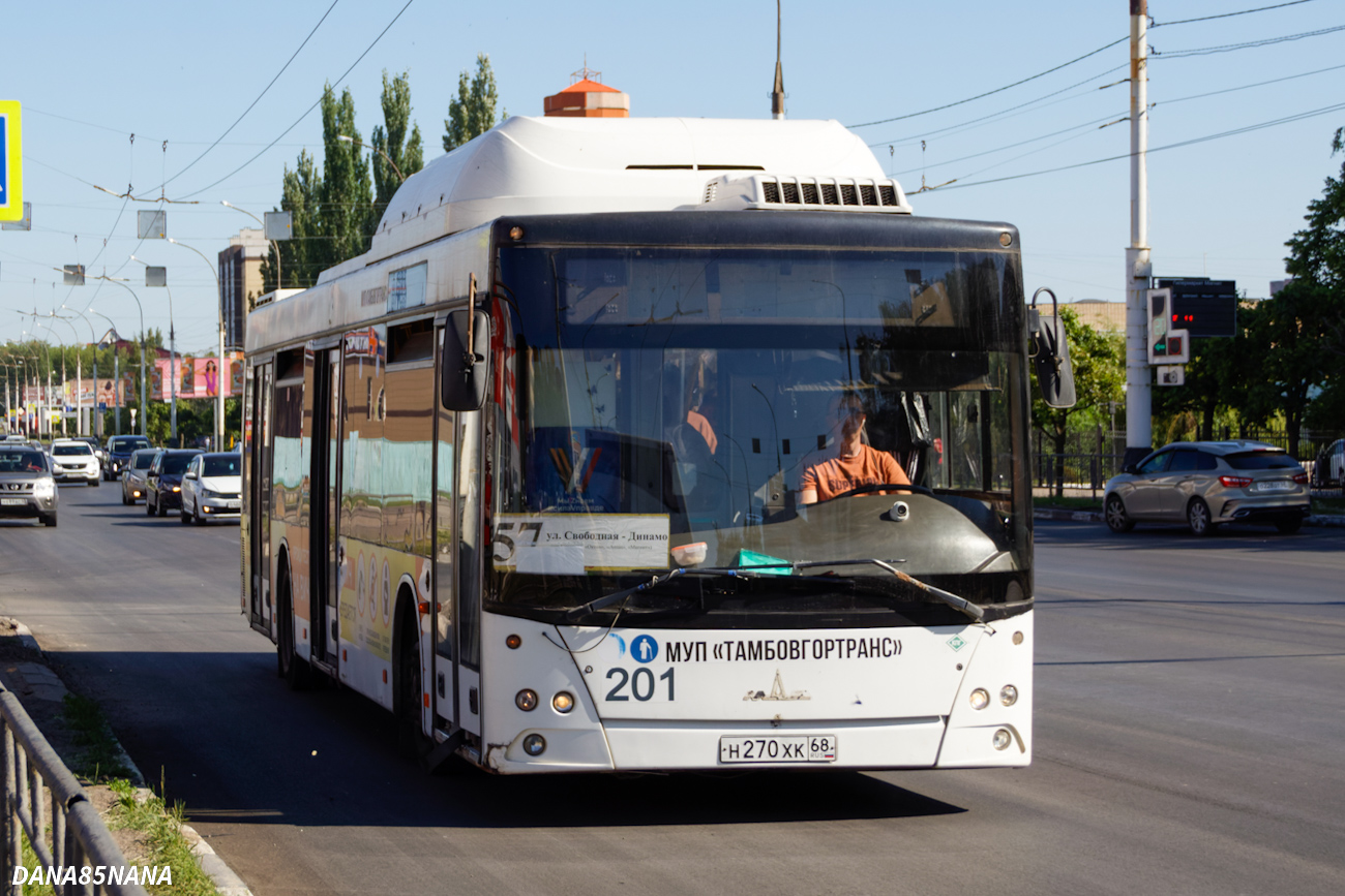Тамбовская область, МАЗ-203.965 № 201