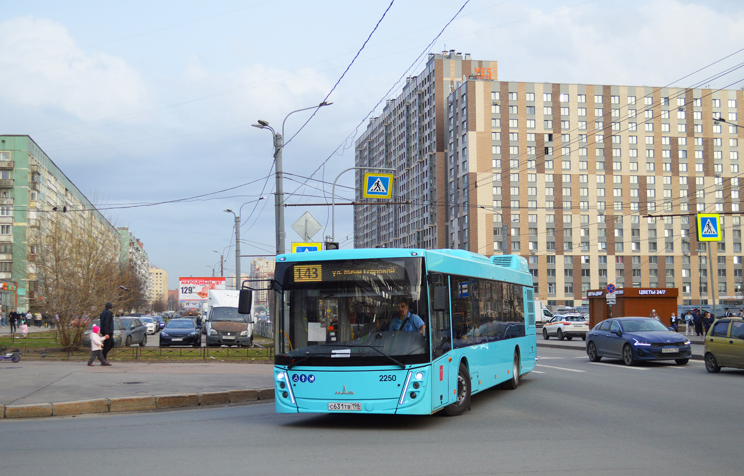 Санкт-Петербург, МАЗ-203.047 № 2250