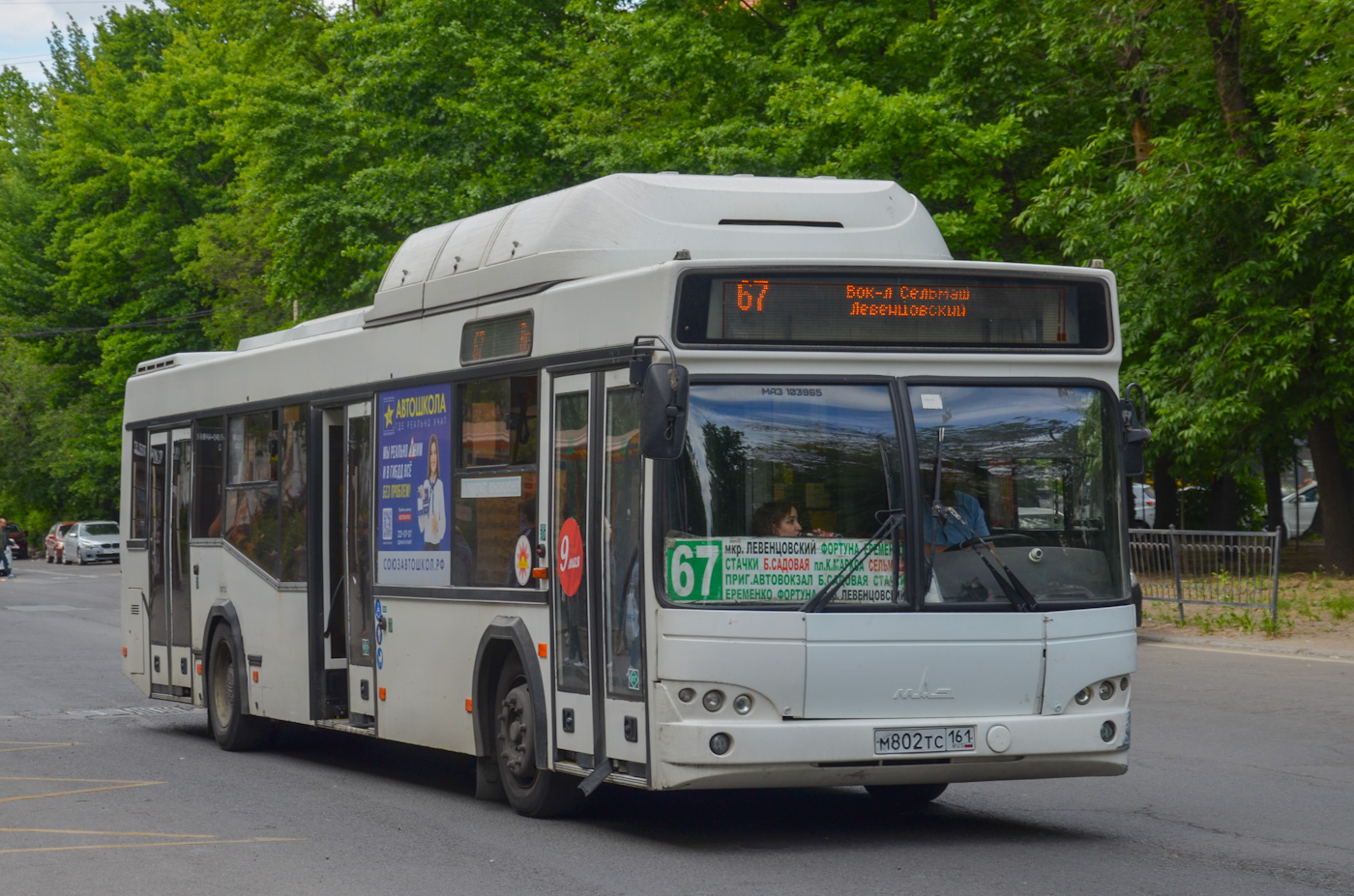 Rostov region, MAZ-103.965 # 00711