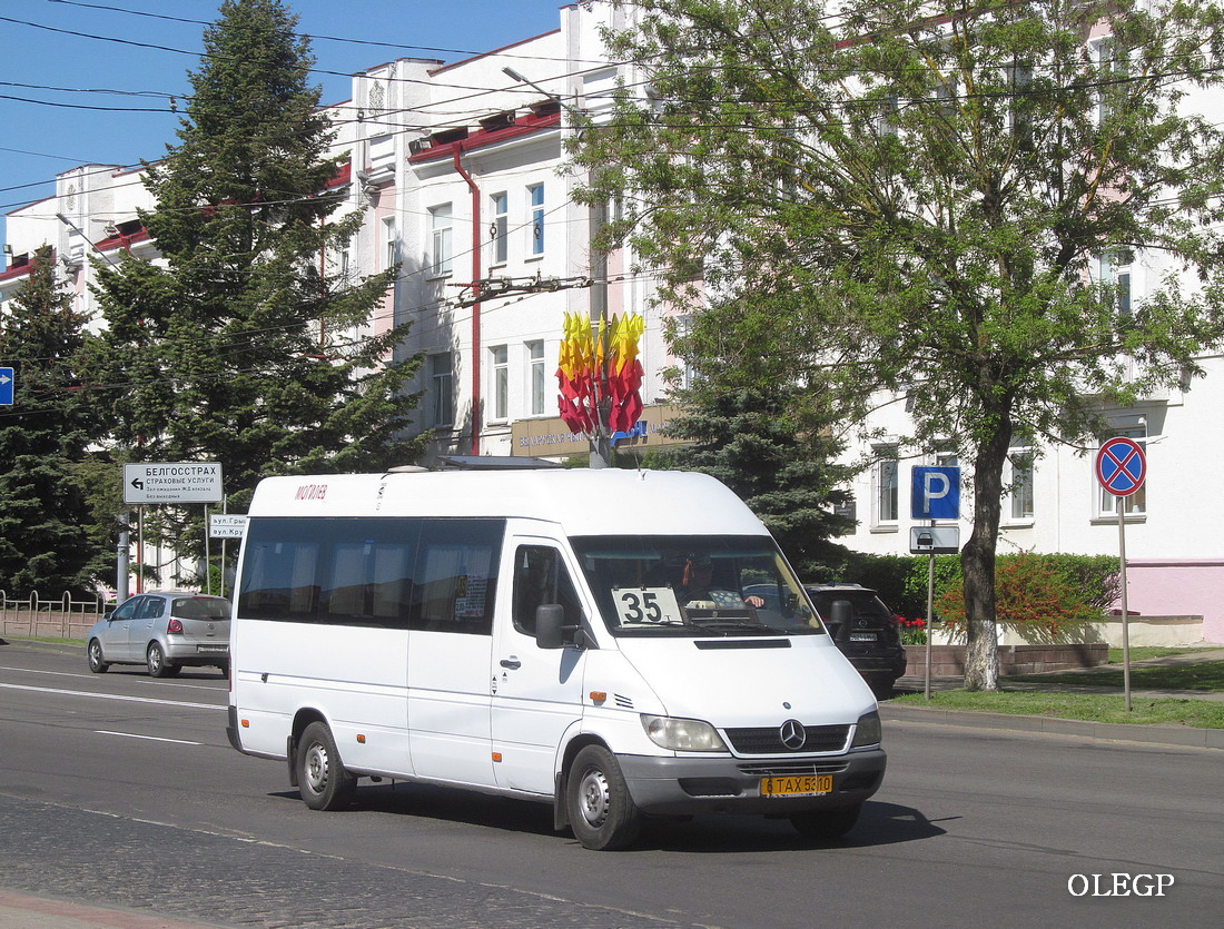 Могилёвская область, Mercedes-Benz Sprinter W903 311CDI № 6 ТАХ 5310