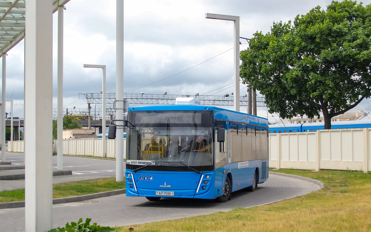 Брестская область, МАЗ-206.047 № 232