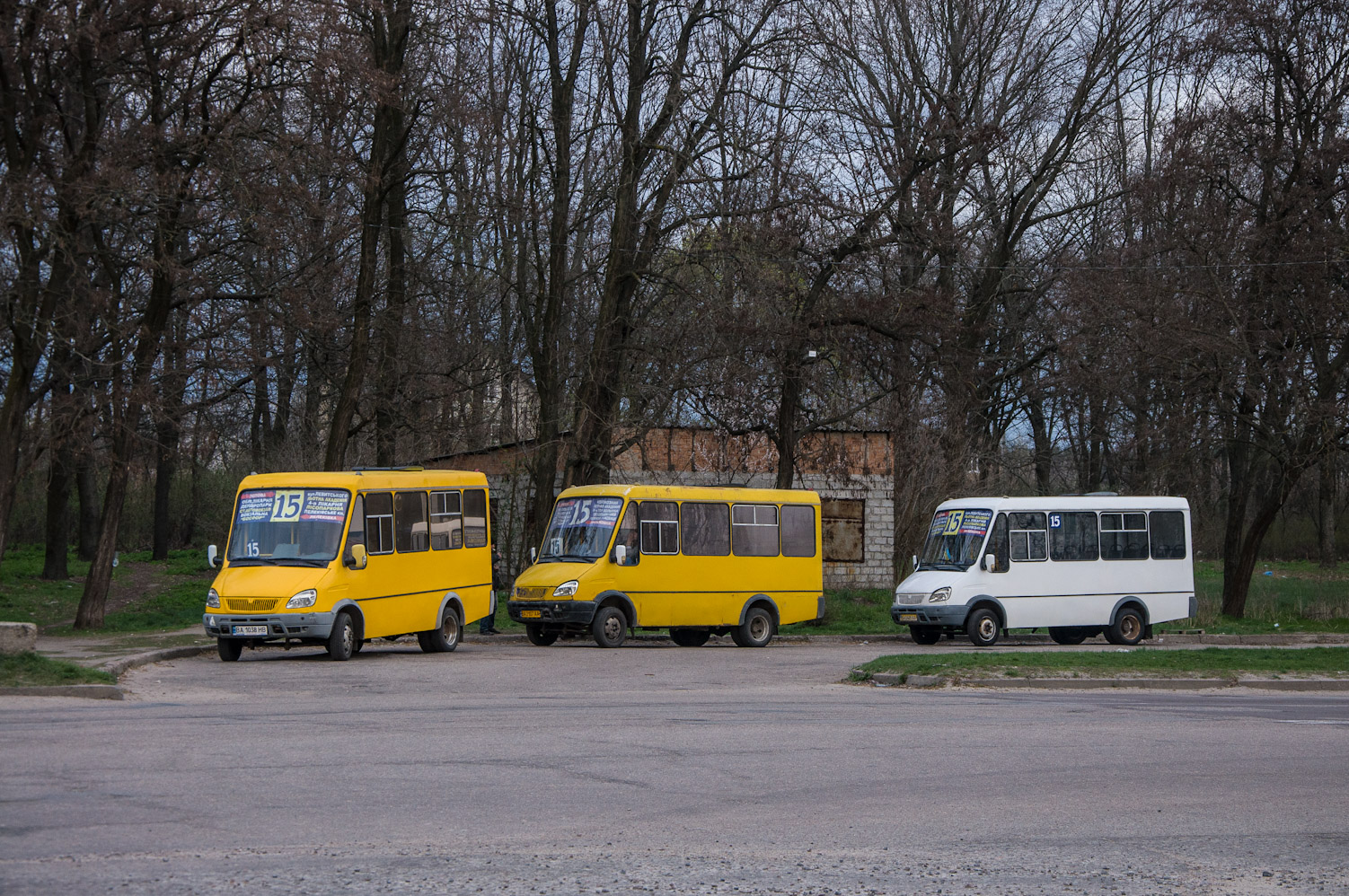 Кировоградская область, БАЗ-22154 "Дельфин" № BA 1038 HB; Кировоградская область, БАЗ-2215 "Дельфин" № BA 2107 AA; Кировоградская область, БАЗ-2215 "Дельфин" № BA 0469 AA