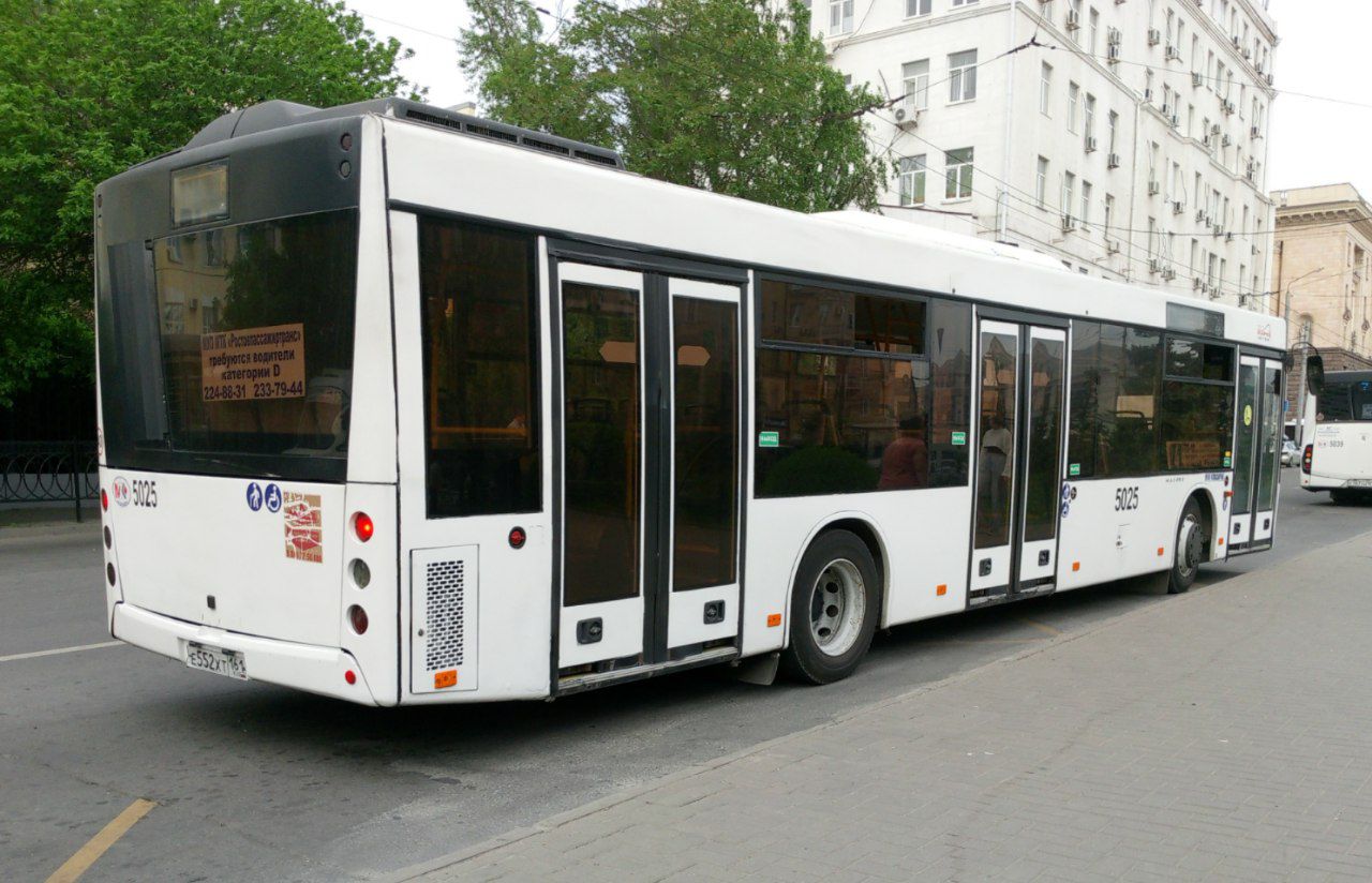 Ростовская область, МАЗ-203.069 № 5025