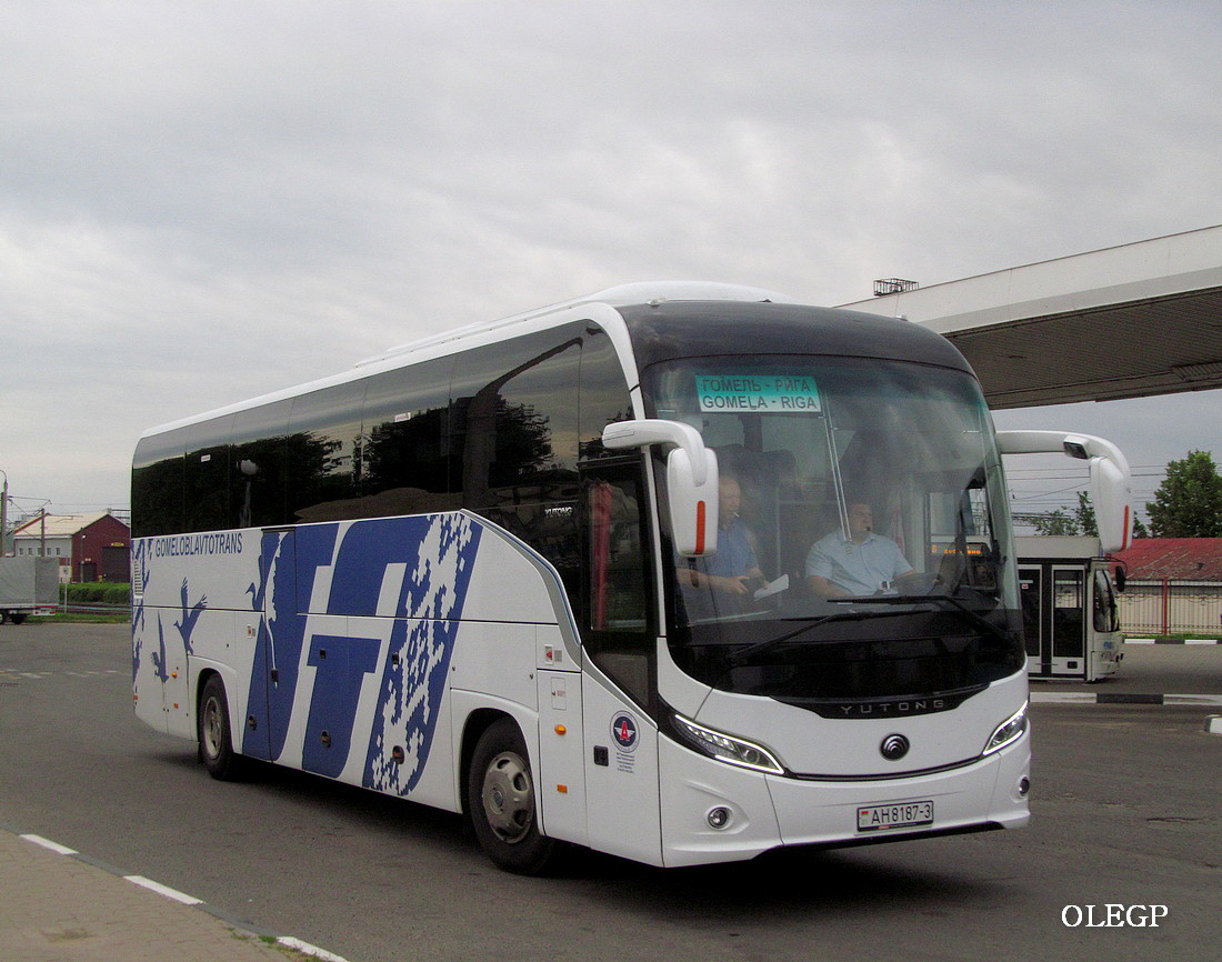 Гомельская область, Yutong C12PRO (ZK6128H) № 016251