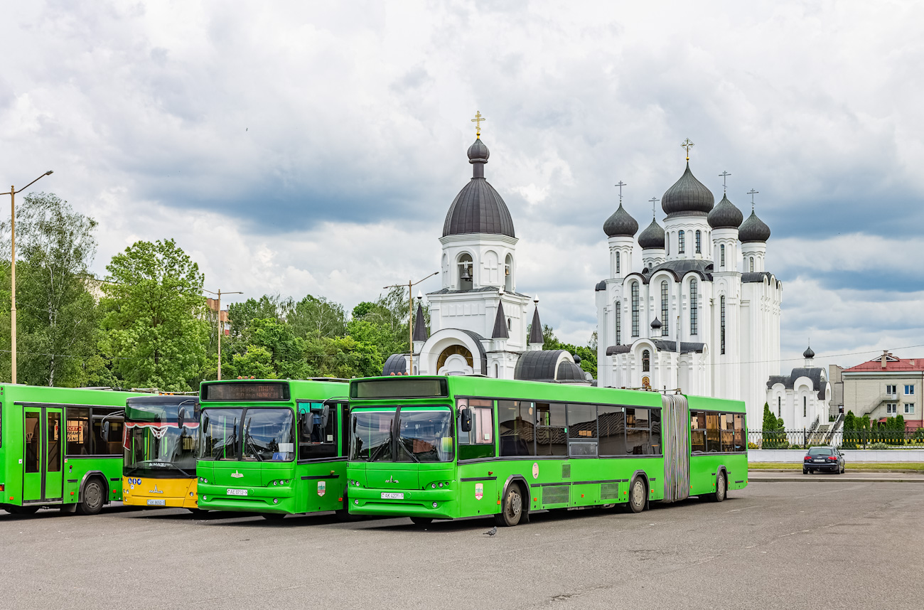 Брестская область, МАЗ-105.465 № 12160