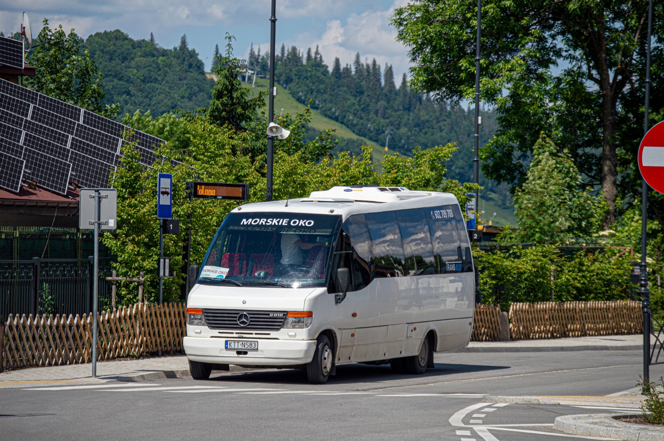 Польша, Indcar Wing № KTT NS83