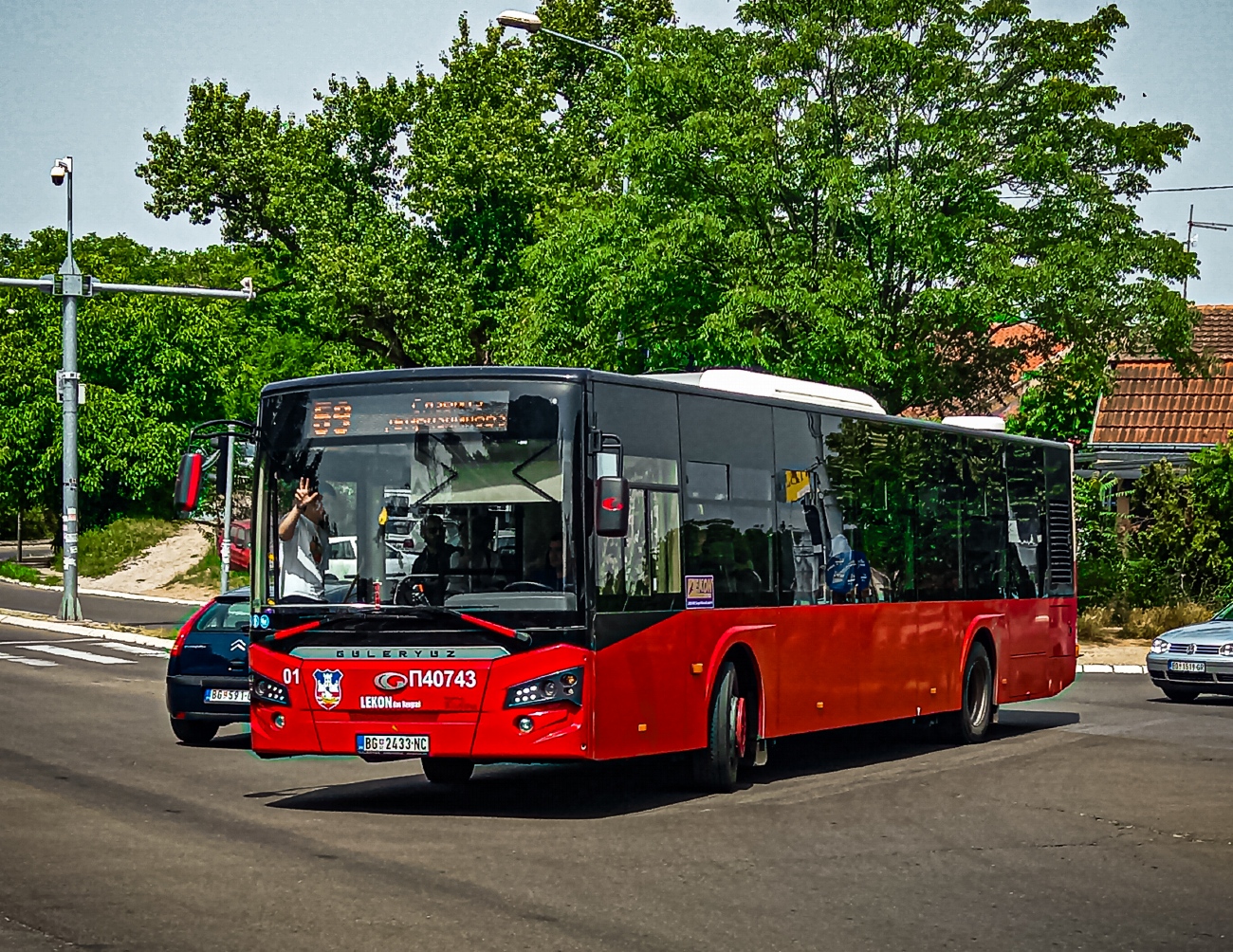 Serbia, Güleryüz Ecoline Nr П40743