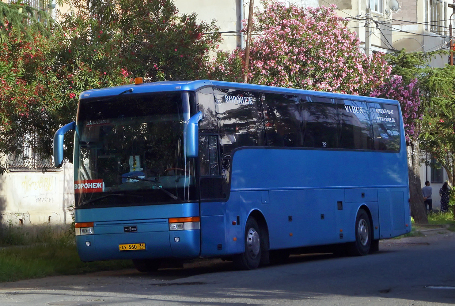 Воронежская область, Van Hool T915 Acron № АХ 560 36