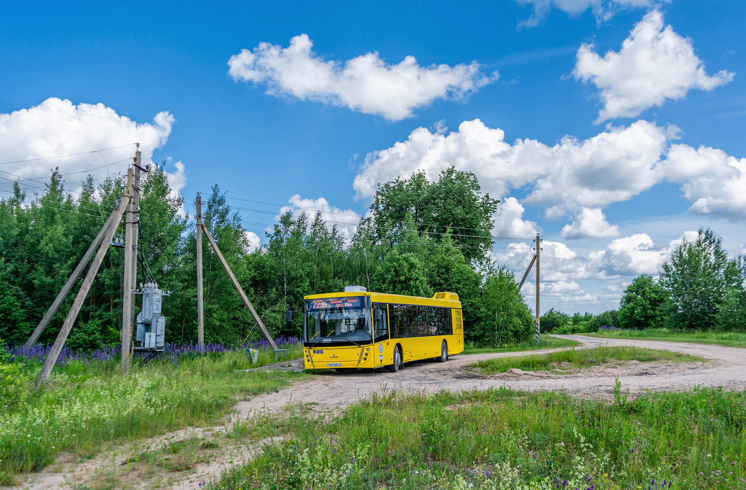 Минская область, МАЗ-203.147 № ВА 5904-5