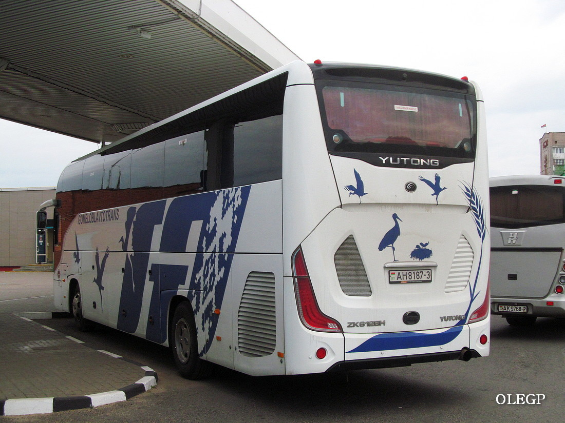 Гомельская область, Yutong C12PRO (ZK6128H) № 016251