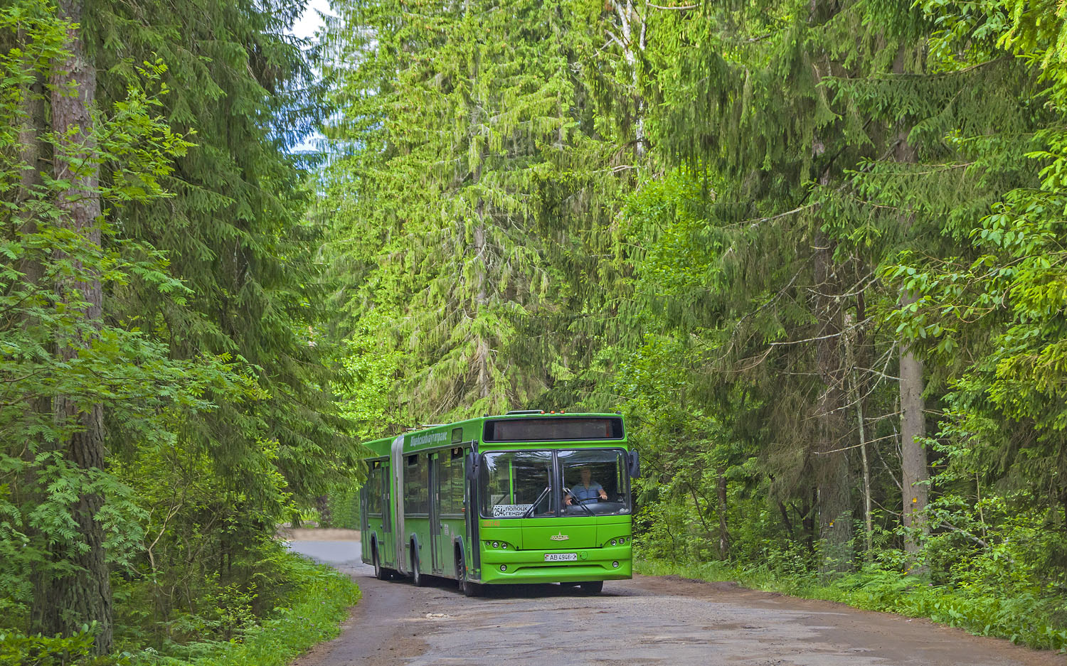 Витебская область, МАЗ-105.465 № 020140