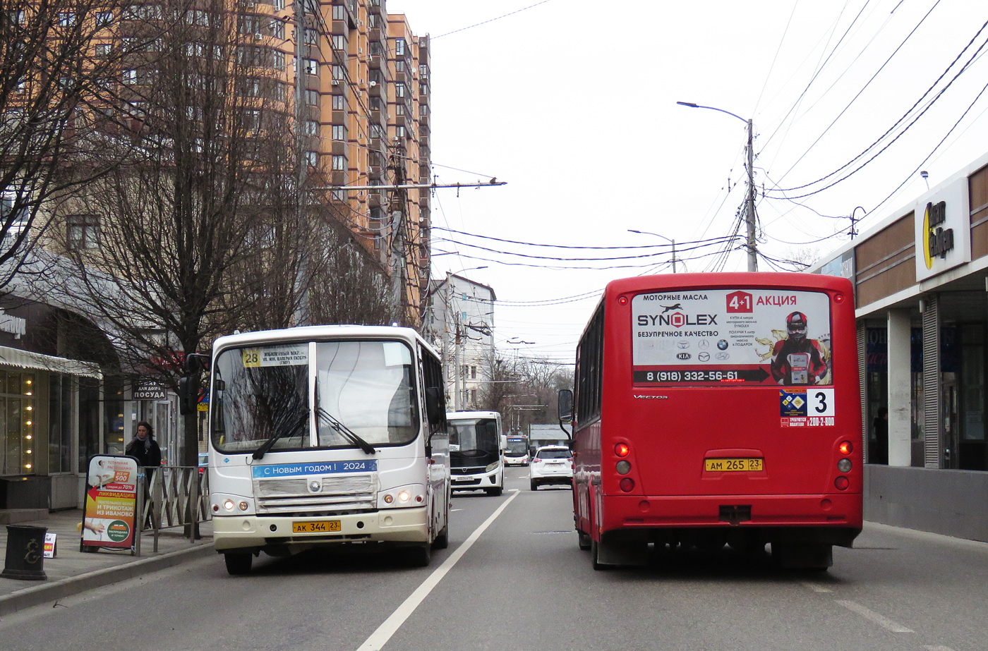 Краснодарский край, ПАЗ-320412-10 № АК 344 23; Краснодарский край, ПАЗ-320412-04 "Вектор" № АМ 265 23