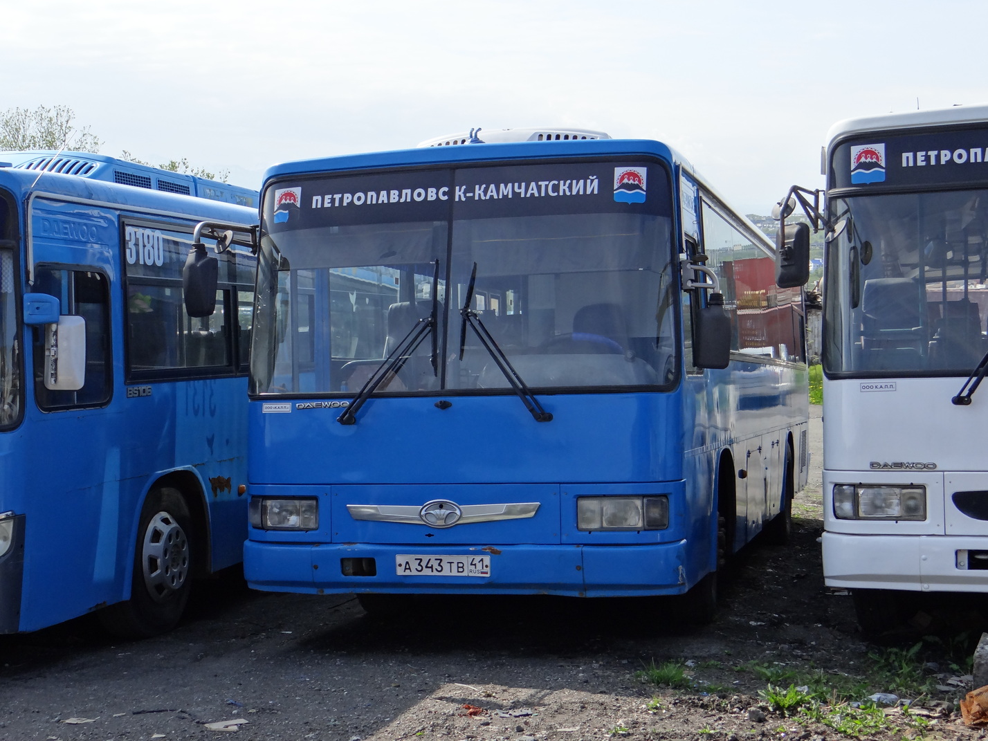 Камчатский край, Daewoo BS106 Royal City (Busan) № 3131