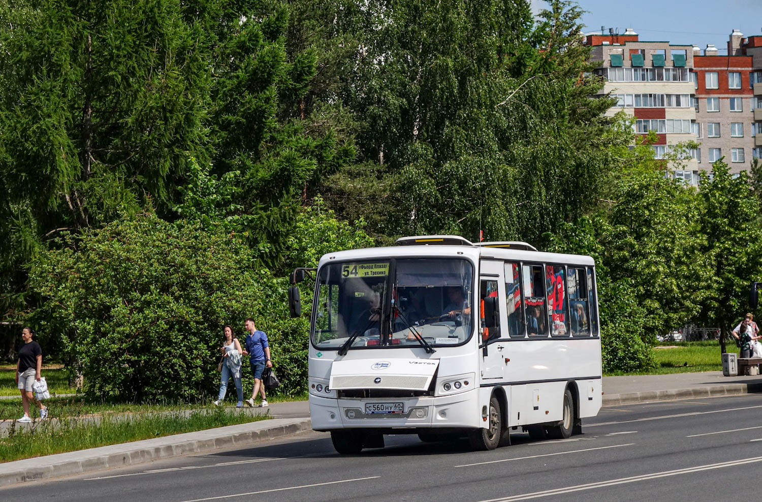 Псковская область, ПАЗ-320302-22 "Вектор" № С 560 НУ 60