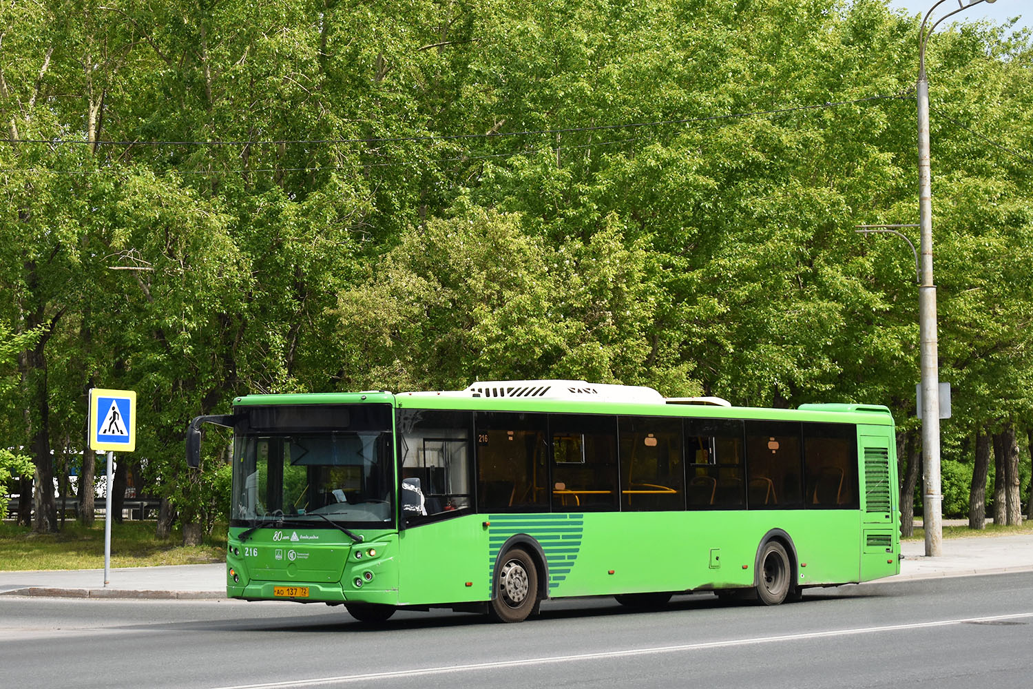 Tumen region, LiAZ-5292.65 # 216