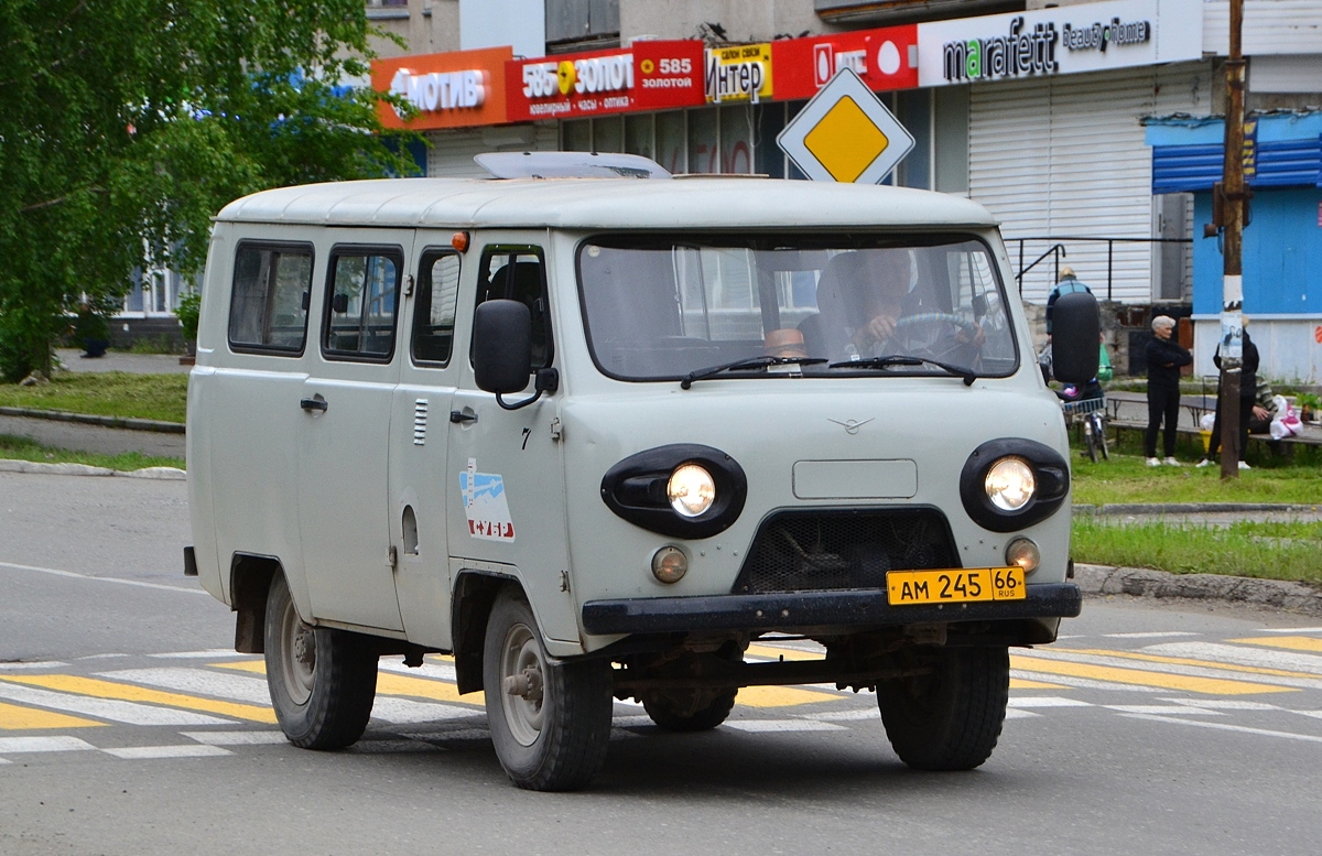 Свердловская область, УАЗ-22069 № 7