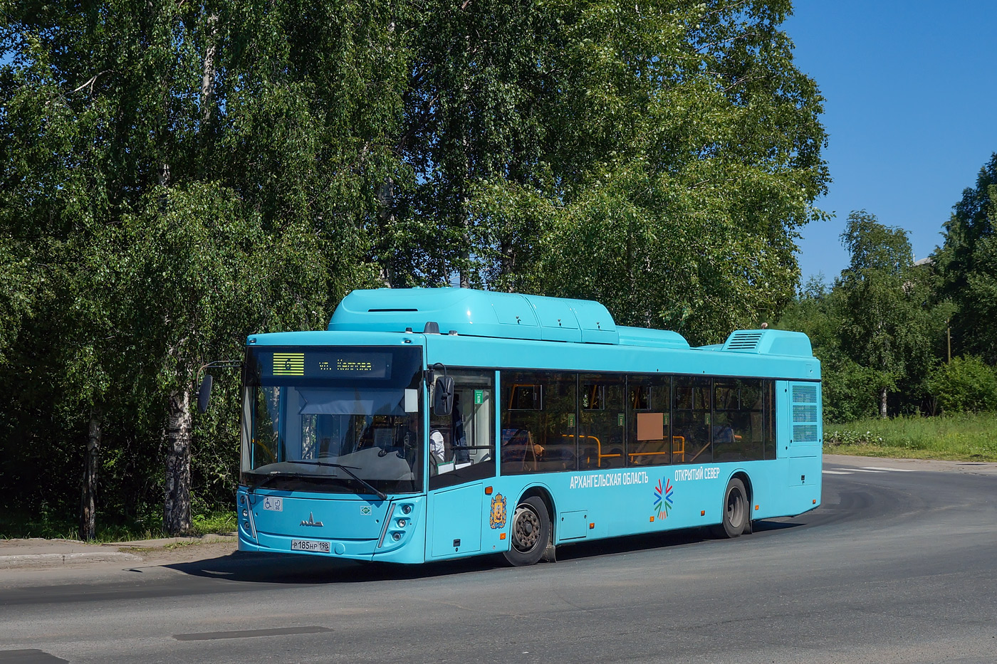 Архангельская область, МАЗ-203.948 № Р 185 НР 198
