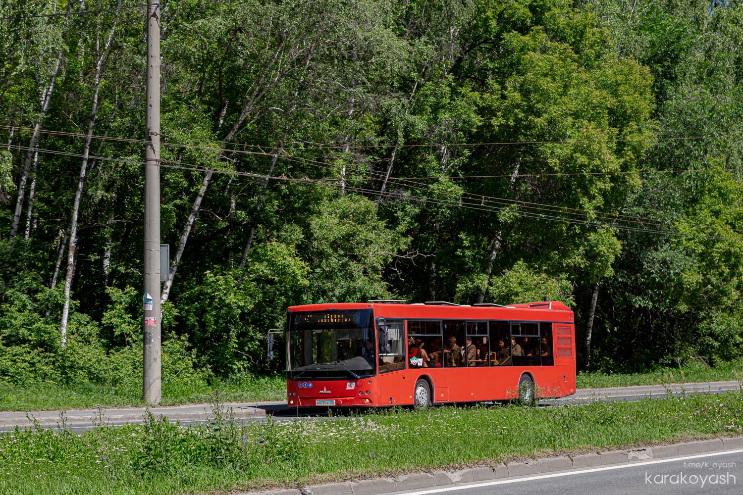 Татарстан, МАЗ-203.069 № 967