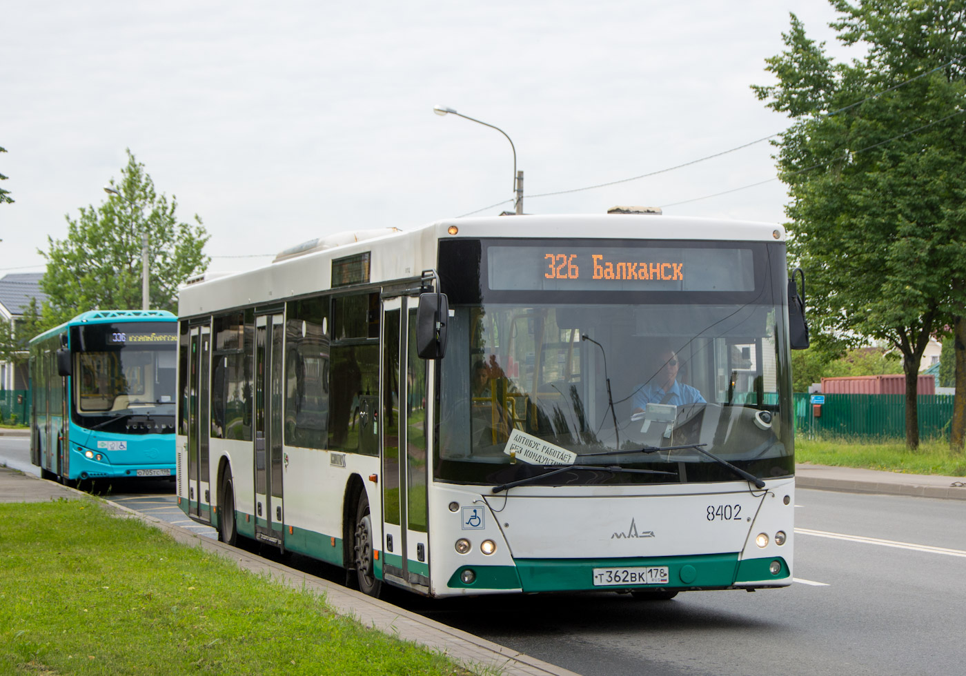 Санкт-Петербург, МАЗ-203.085 № 8402