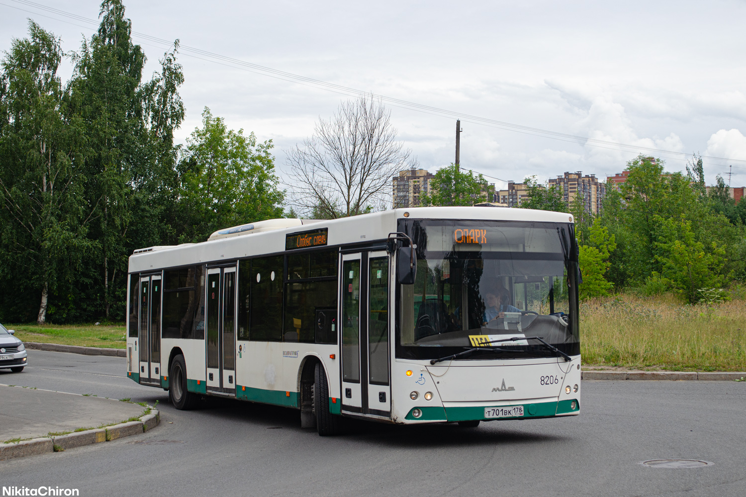 Санкт-Петербург, МАЗ-203.085 № 8206