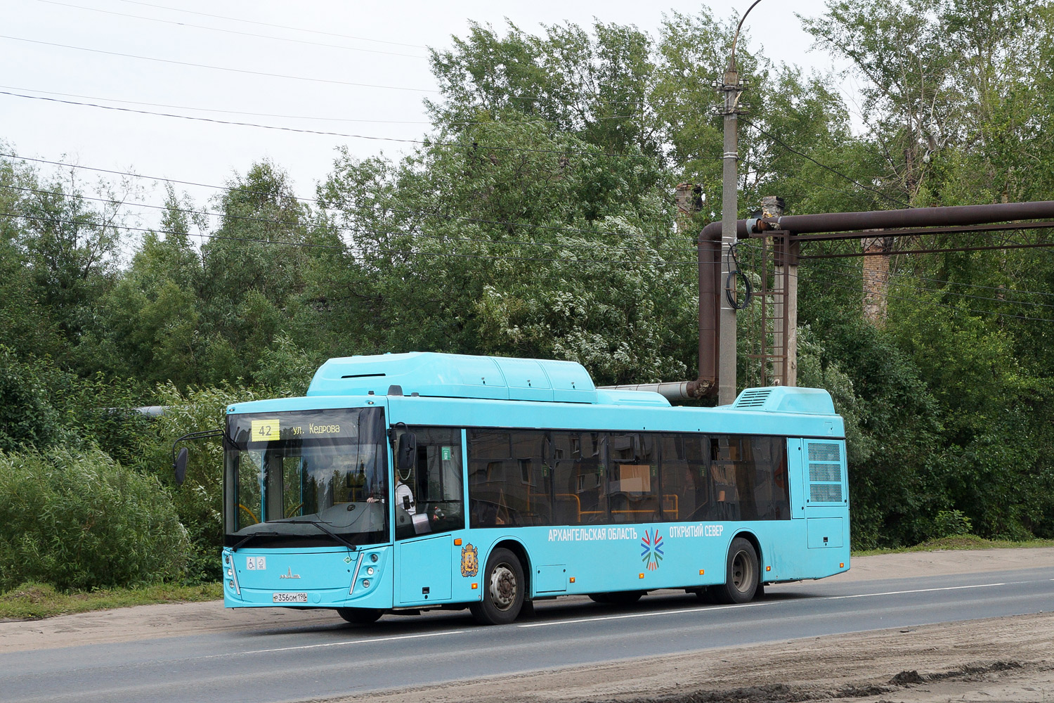 Архангельская область, МАЗ-203.948 № Р 356 ОМ 198