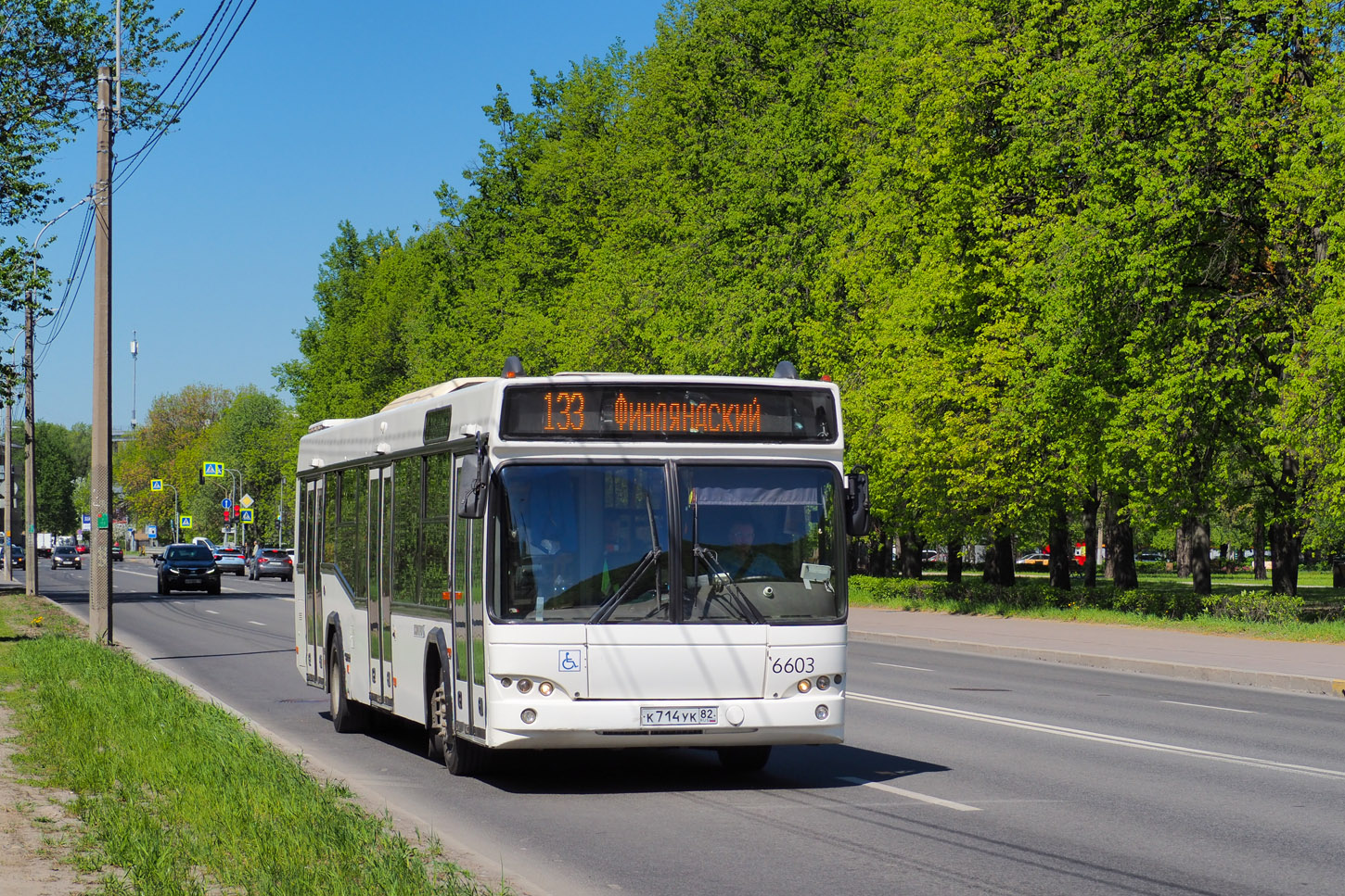 Санкт-Петербург, МАЗ-103.486 № 6603