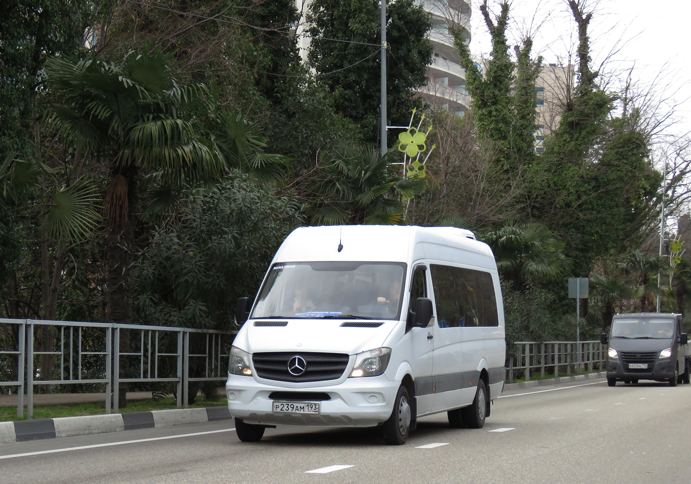 Краснодарский край, Луидор-22360C (MB Sprinter) № Р 239 АМ 193