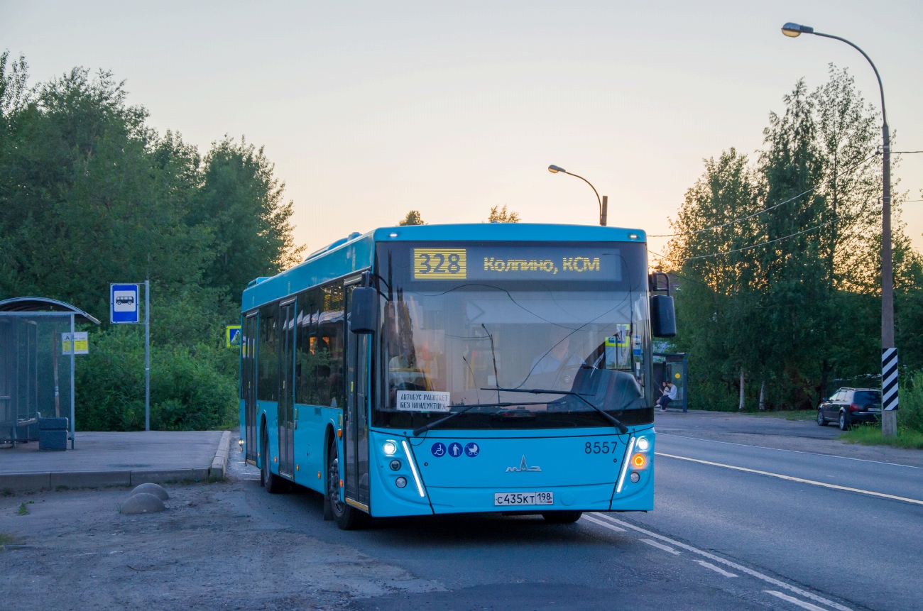 Sankt Petersburg, MAZ-203.047 Nr. 8557