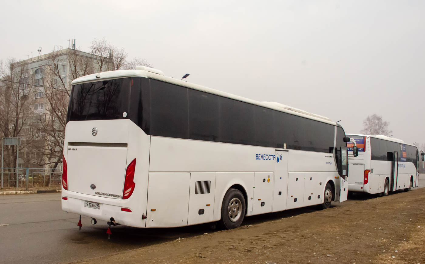 Амурская область, Golden Dragon XML6126JR Triumph № Т 817 НМ 797