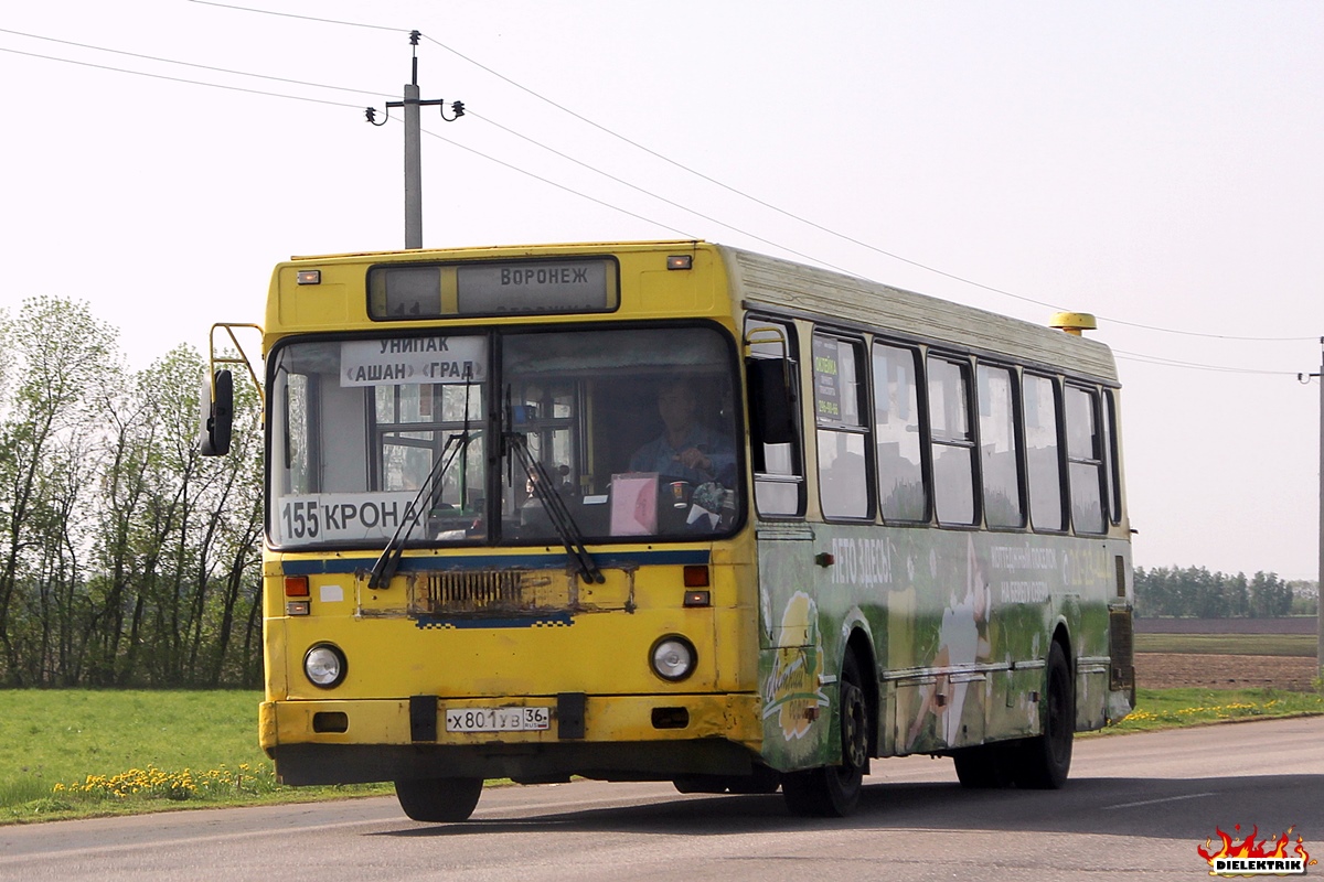 Воронежская область, ЛиАЗ-5256.30 № Х 801 УВ 36 Воронежская область, ЛиАЗ-5256.30 № Х 801 УВ 36