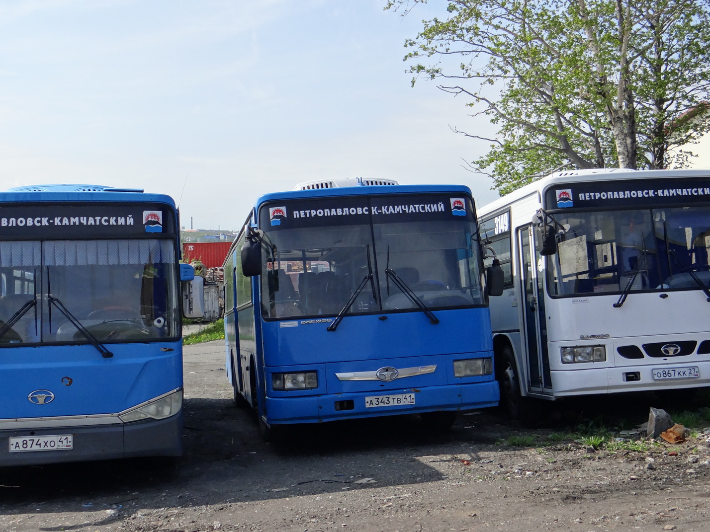 Камчатский край, Daewoo BS106 Royal City (Busan) № 3131