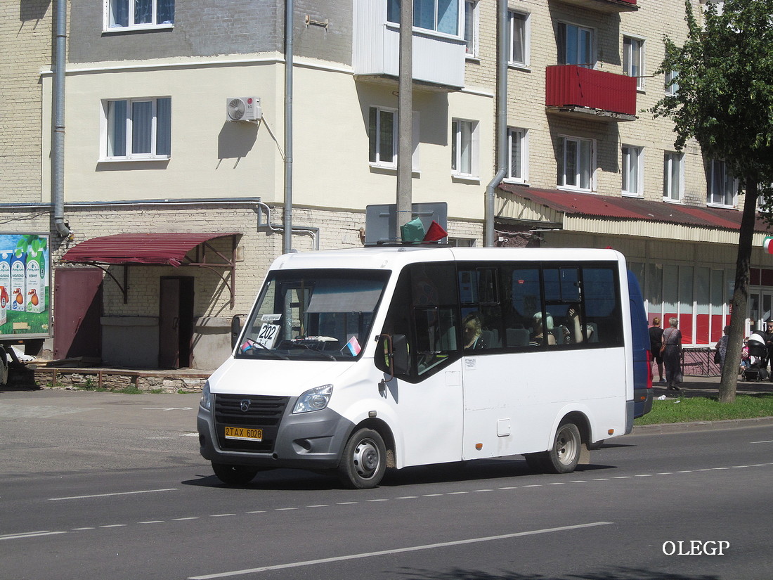 Витебская область, ГАЗ-A63R42 Next № 2 ТАХ 6028