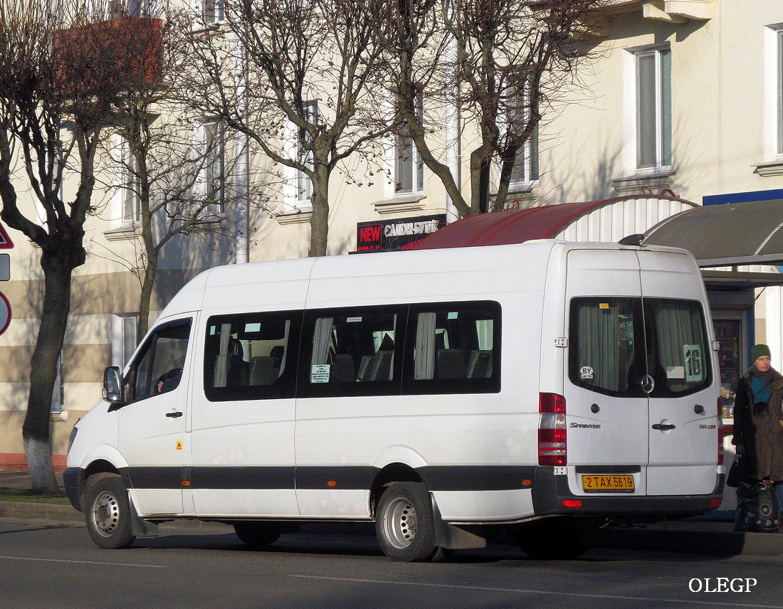 Витебская область, Луидор-2236* № 2 ТАХ 5619