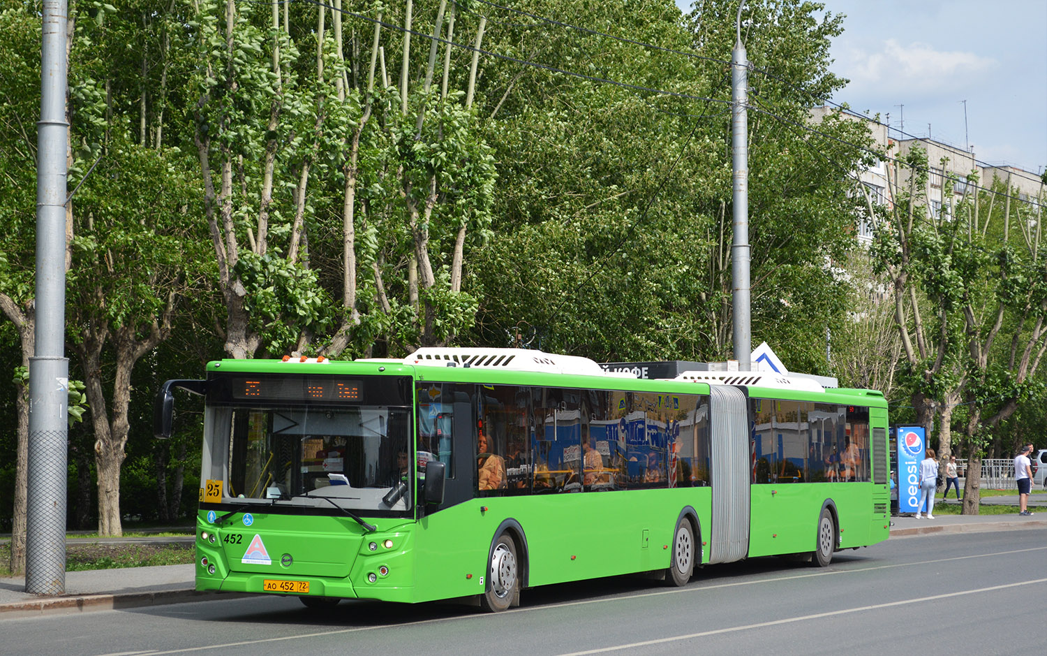 Tumen region, LiAZ-6213.65 # 452