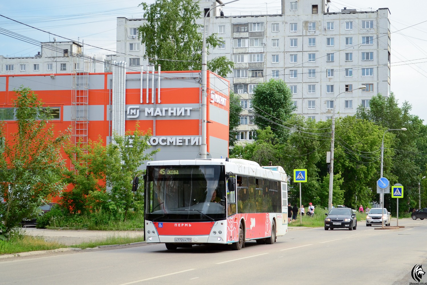 Пермский край, МАЗ-203.016 № Н 772 ЕН 159