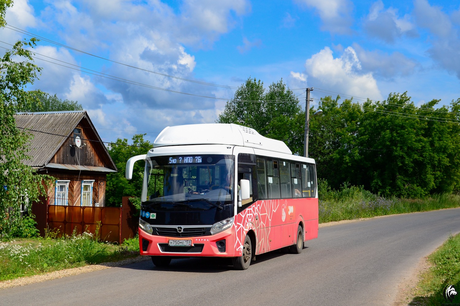 Пермский край, ПАЗ-320415-14 "Vector Next" № Н 750 МЕ 159