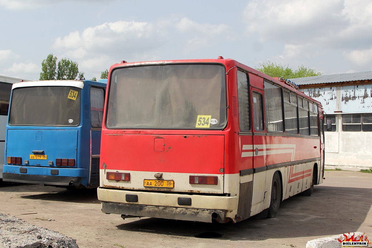 Воронежская область, Ikarus 256 № АА 200 36