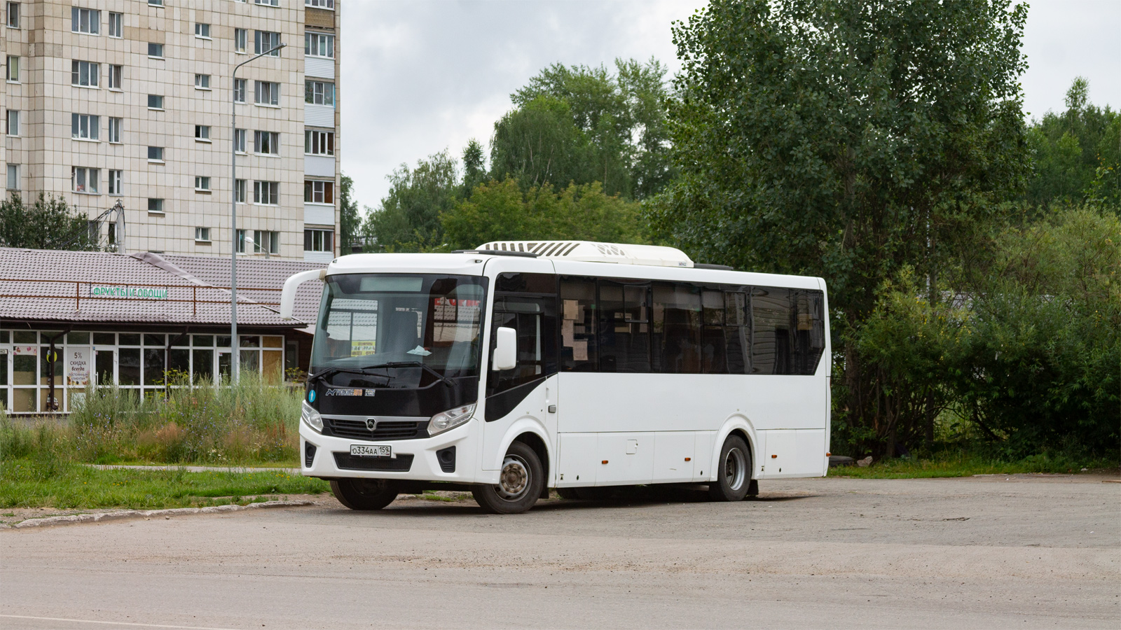 Пермский край, ПАЗ-320455-04 "Vector Next" (межгород) № О 334 АА 159