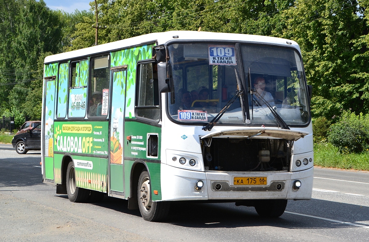 Свердловская область, ПАЗ-320302-08 "Вектор" № КА 175 66