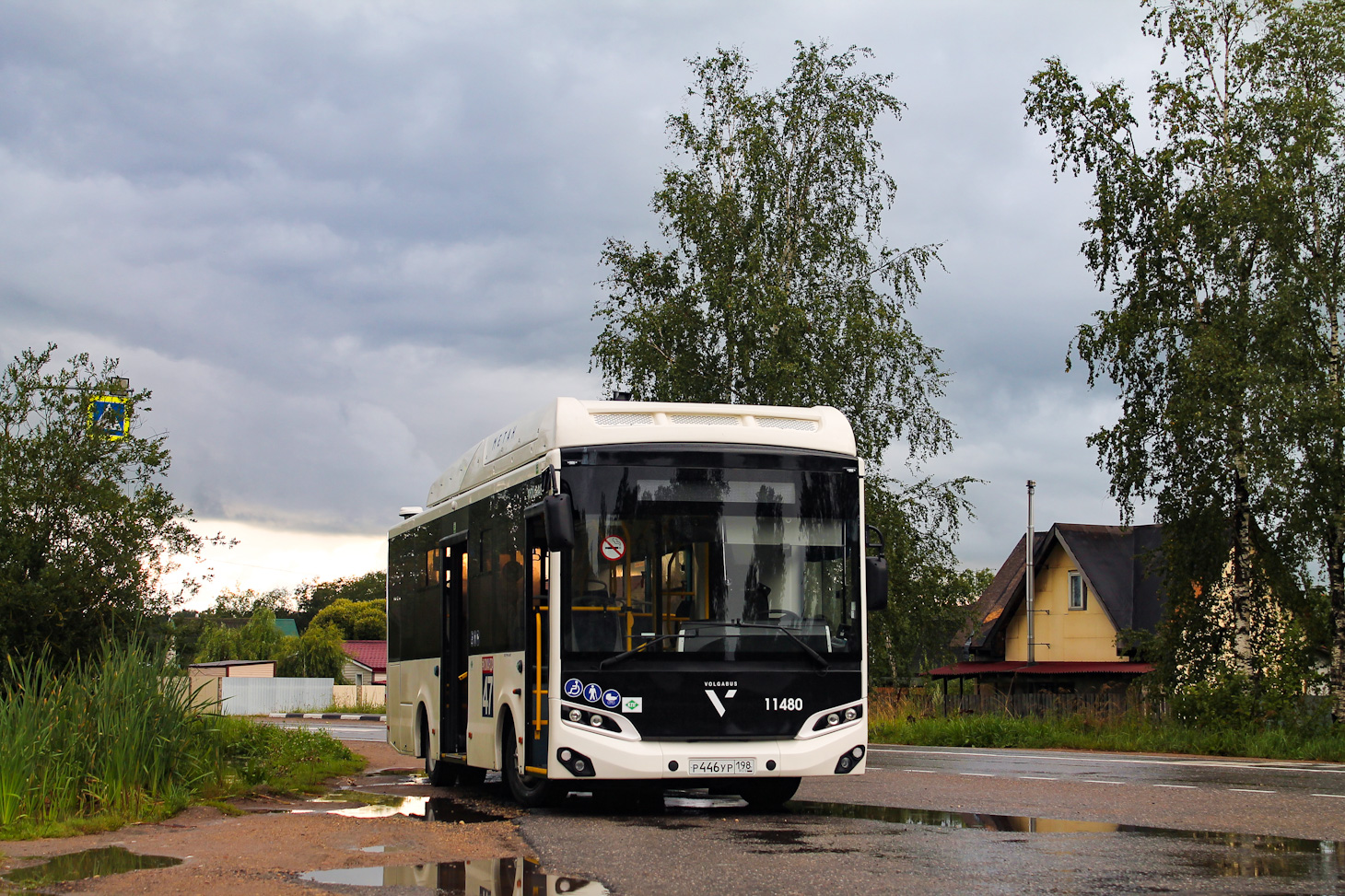 Ленинградская область, Volgabus-4298.G4 (CNG) № 11480