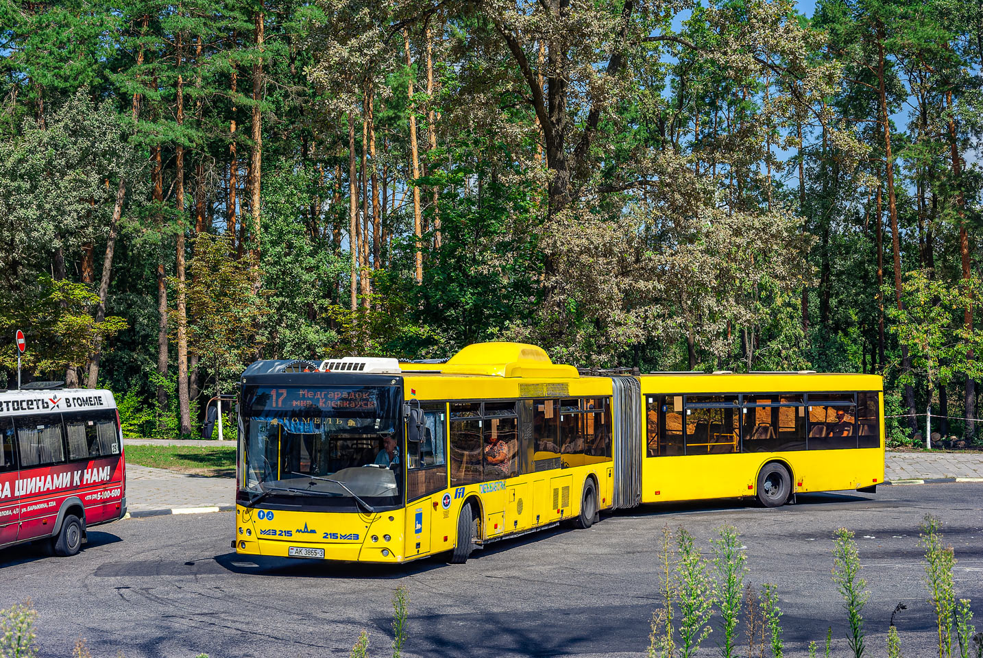 Гомельская область, МАЗ-215.169 № 036919