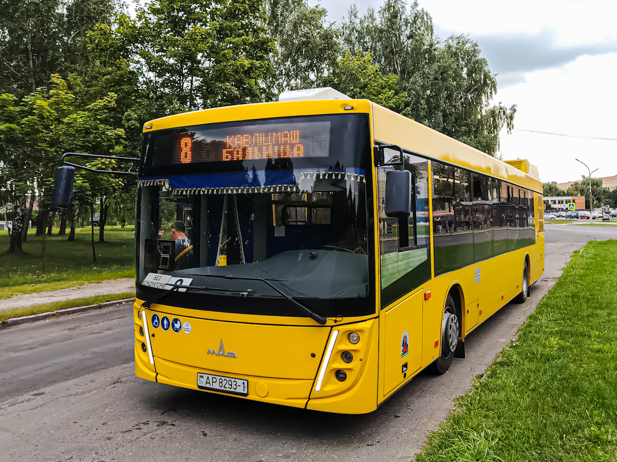 Брестская область, МАЗ-203.047 № 41919