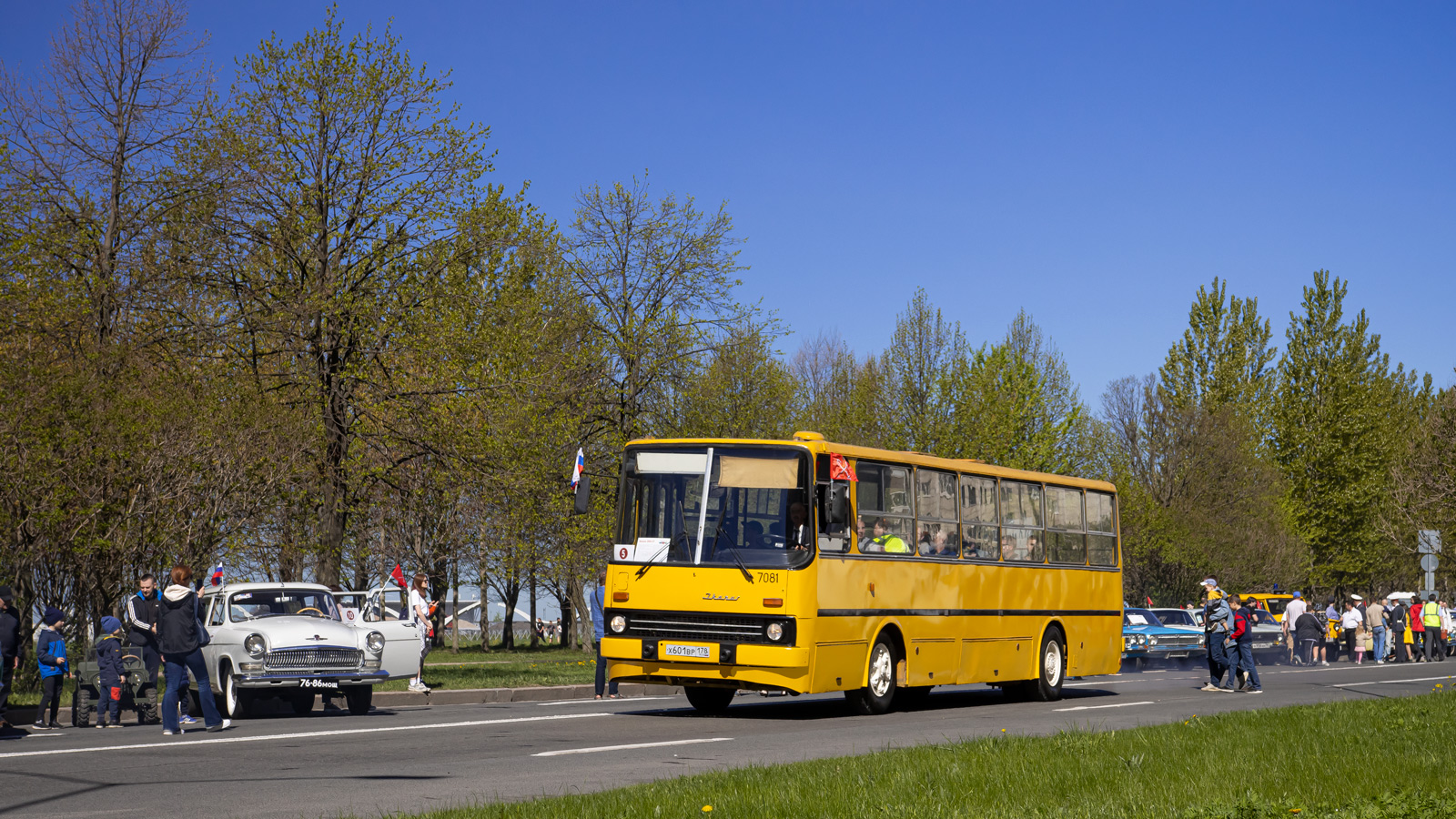 Sankt Peterburgas, Ikarus 260.37 Nr. 7081; Sankt Peterburgas — V International Transport Festival "SPbTransportFest-2024"
