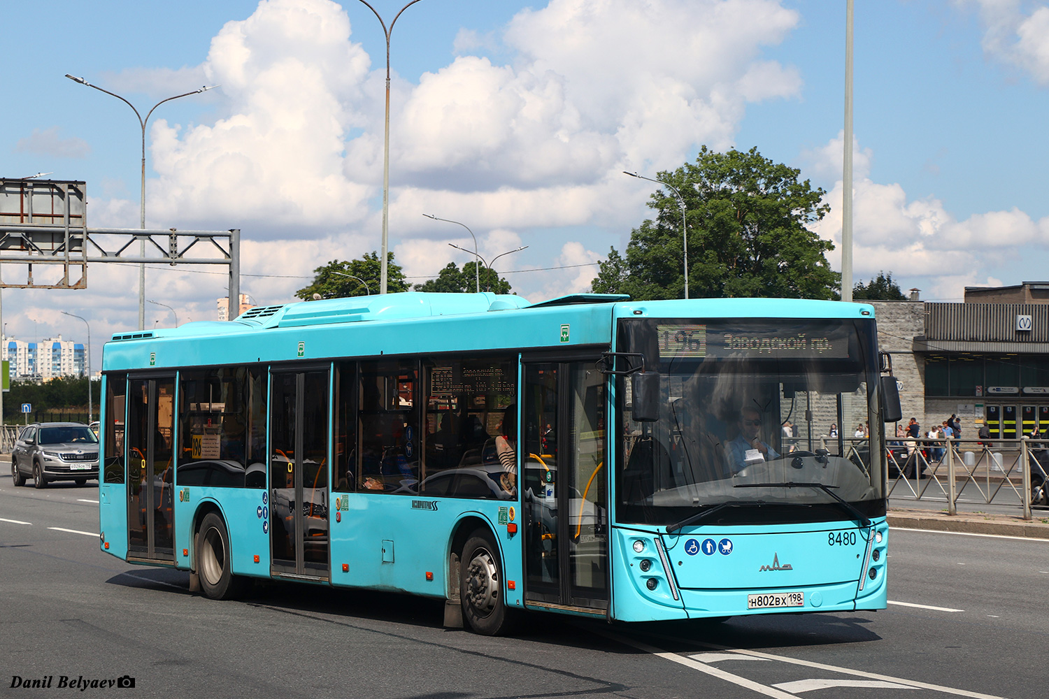 Санкт-Петербург, МАЗ-203.047 № 8480 Санкт-Петербург, МАЗ-203.047 № 8480