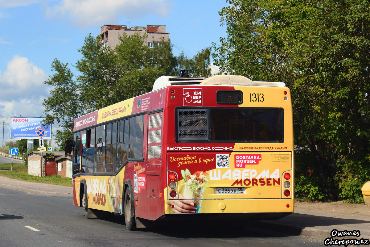 Wologda Region, MAZ-103.469 Nr. 1313