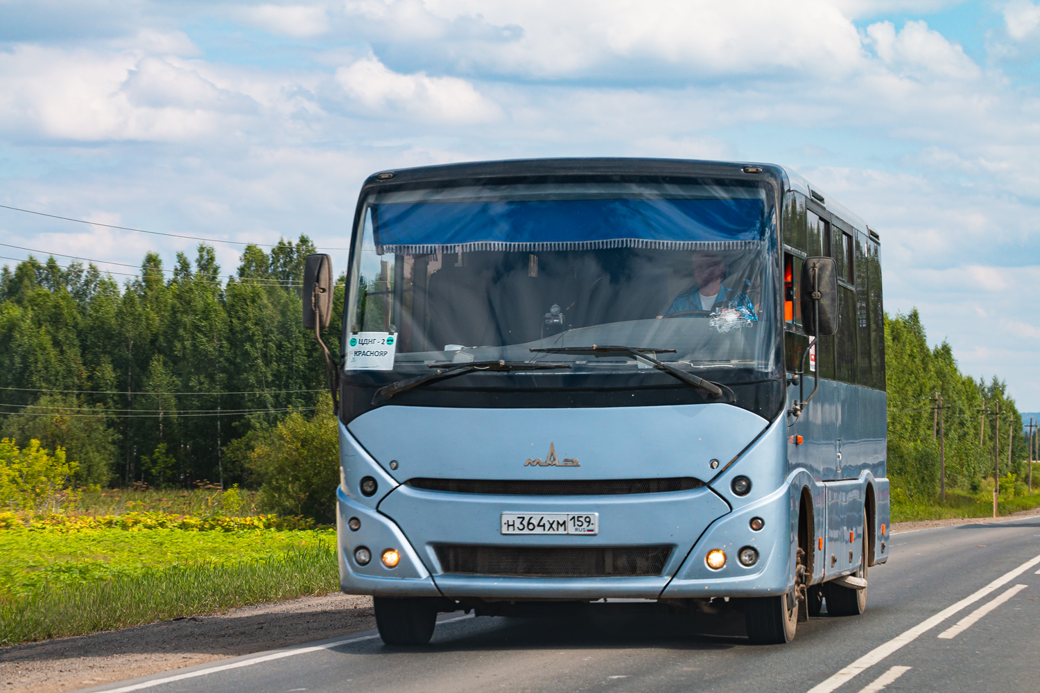 Пермский край, МАЗ-241.030 № Н 364 ХМ 159